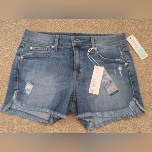 Level 99 Distressed Blue Denim Shorts